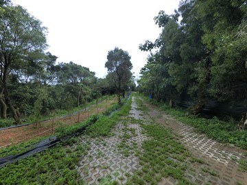 龜山環保公園虎頭山步道旁社區型景觀開心農場｜桃園市龜山區楓壽段
