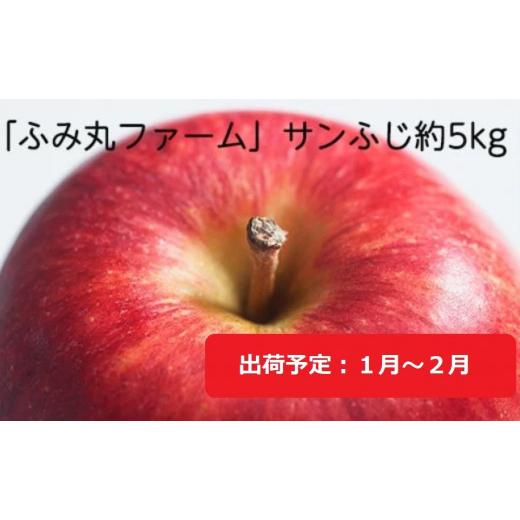 ふるさと納税 青森県 弘前市 1月〜2月発送 ふみ丸ファーム 最高等級「特選」サンふじ 約5kg 