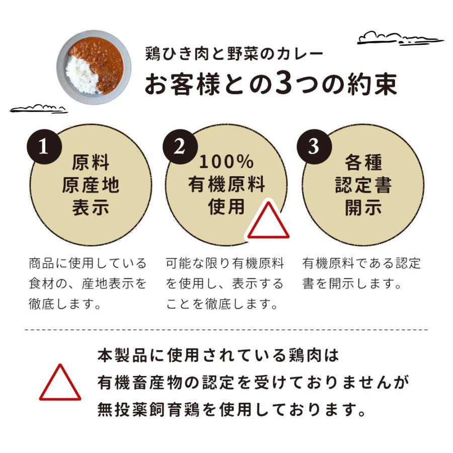 有機 カレー 甘口 レトルト (160g×5食セット)  国産 甘口カレー レトルトカレー 鶏ひき肉 鶏肉 野菜 野菜カレー ガラムマサラ スパイス だし 出汁