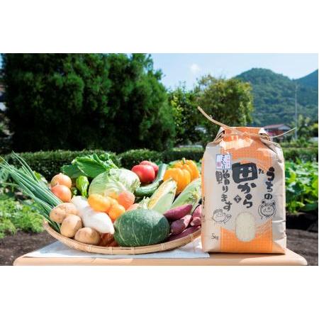 ふるさと納税 せいよ旬の野菜・果物・宇和米5kg詰合せセット 愛媛県西予市