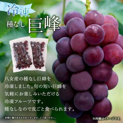 ふるさと納税 八女市  かの蜂の冷凍フルーツ 種なし巨峰  1kg(500g×2袋)