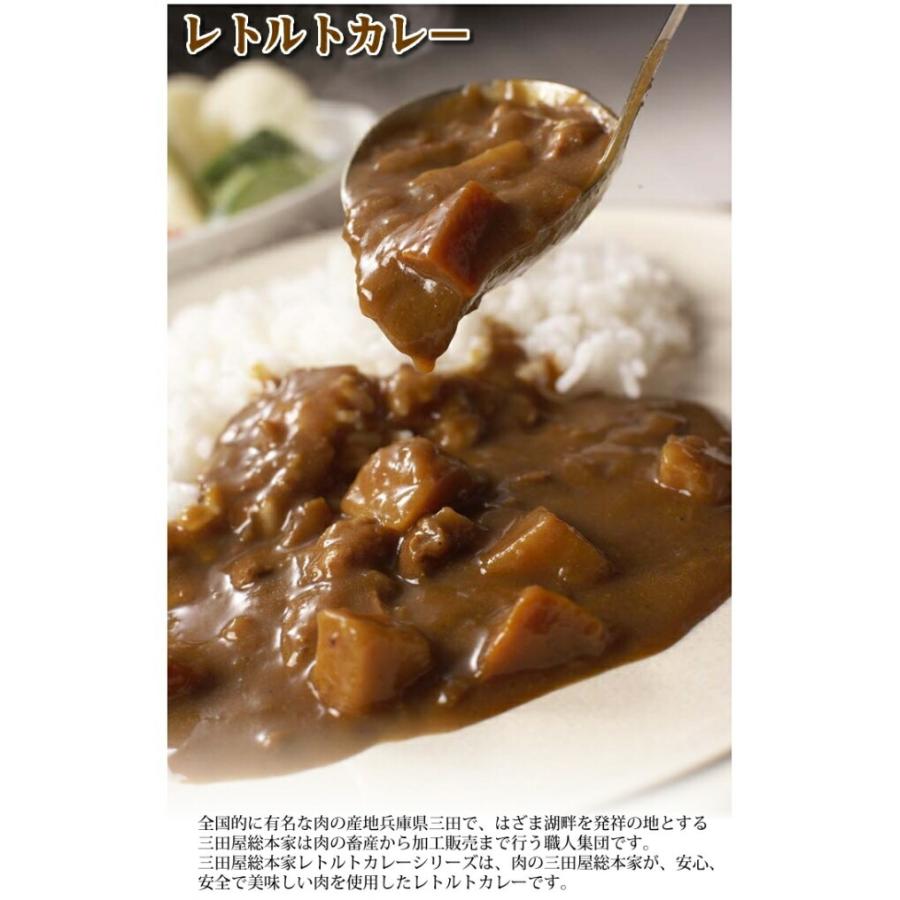 三田屋総本家レトルトカレー詰め合わせ（Ｌ）