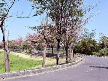 新東區輕屋齡@屋況棒(朝南車墅)｜台南市仁德區仁中七街