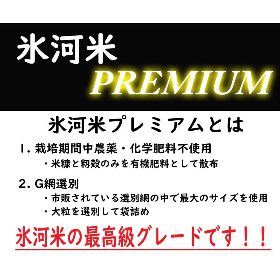 米 ミルキークイーン 白米 5kg 送料無料 高級 希少 化学肥料・農薬不使用 山形県産 令和5年産 美味しいお米 氷河米プレミアム 山形 庄内 農家直送