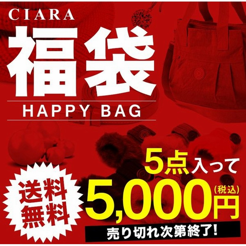 福袋 22 レディース 30代 40代 50代 中身 5000円ポッキリ福袋 5点セット 超豪華 当店人気バッグ ポーチ 雑貨 Td 母の日 通販 Lineポイント最大get Lineショッピング