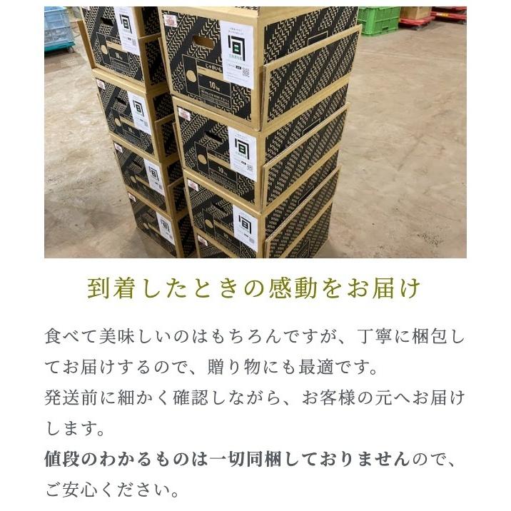 正規品ノーザンルビー10kg 北海道剣淵町産じゃがいも