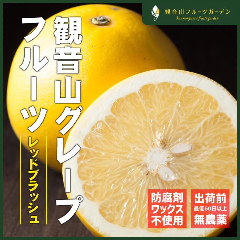 国産グレープフルーツ レッドブラッシュ A級品 3kg 観音山フルーツガーデン 送料無料