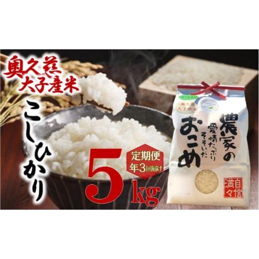 ふるさと納税 茨城県 大子町 奥久慈 大子産米 令和５年産米 コシヒカリ （白米）5kg 茨城県 大子町 米 こしひかり[No.5799-0699]