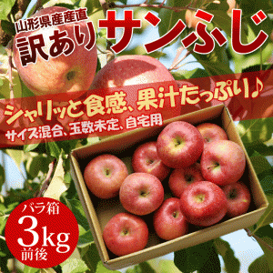 訳ありサンふじりんご 約3kg バラ詰め 山形産 りんご リンゴ 林檎 アップル  訳あり 産直 取寄せ 家庭用 果物 フルーツ ※沖縄県・一部離