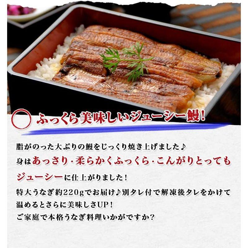 食の達人 業務用 特大うなぎ蒲焼220g タレ付き 山椒付き 土用の丑の日 スタミナお取り寄せグルメ 食品 ギフト (220g×3尾) 父の