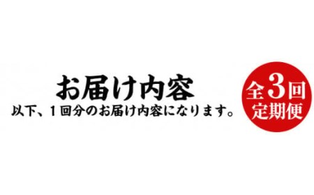 No.861t-B ＜定期便・全3回＞鹿児島黒豚使用のバラエティ黒豚餃子(計96個・12個入り×2パック×4種)×3回