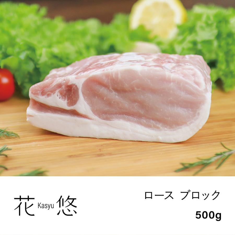 ロース ブロック 500g