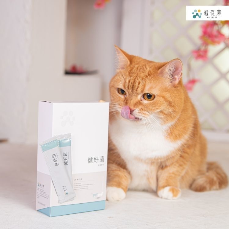 健好菌 【全效好好】 30條