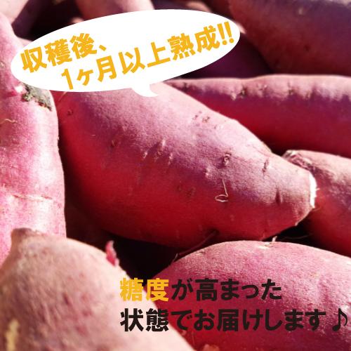 茨城県産 さつまいも 追熟　紅はるか S,Mサイズ 5kg箱