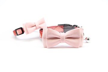 【日式領結頸圈】粉色 Bowtie - 毛小孩幸福配件