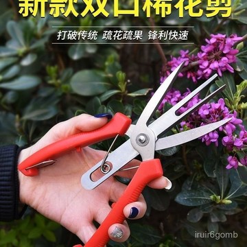 ✨桃園有貨✨【雙口設計】不銹鋼雙刃剪刀果樹疏花疏果雙口蘋果樹稀花稀果專用梨樹神器 CP3T