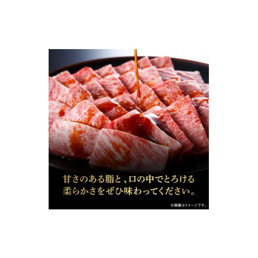 ふるさと納税 宮崎県 延岡市 数量限定 便利 個包装 宮崎牛肩ロース焼肉用 200g×5パック 計1kg　N124-ZC045