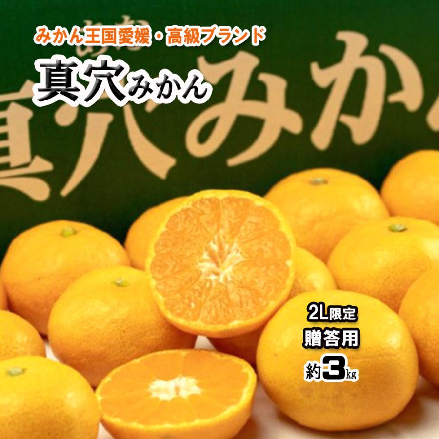 真穴みかん みかん 贈答 お歳暮 真穴 約3ｋｇ 2L サイズ限定 送料無料 愛媛県産