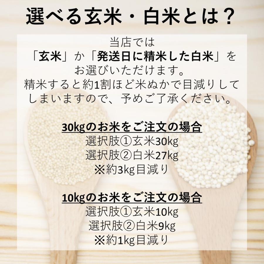 新米 お米 10kg北海道産 ゆめぴりか 令和5年 玄米 白米(9kg) 送料無料 無料精米 一等 単一米 検査米