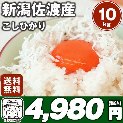 令和５年産佐渡こしひかり　三大名産地 佐渡こしひかり10kg※北海道、沖縄及び離島は別途発送料金が発生します