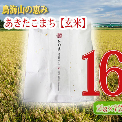 《定期便》14kg×12ヶ月 秋田県産 あきたこまち 玄米 2kg×7袋 神宿る里の米「ひの米」（お米 小分け）