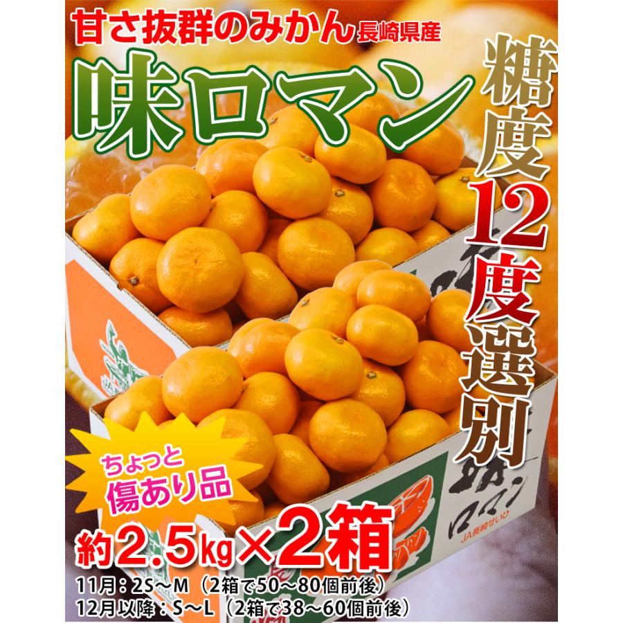 みかん 味ロマン 糖度12度選別 JA長崎せいひ 約2.5kg×2箱 外皮に傷あり (11月出荷：2S-M、12月出荷：S-L) ※常温　送料無料 長崎県 ご自宅用 訳あり