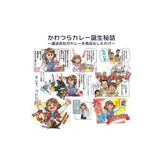 ふるさと納税 秋田県 湯沢市 オリジナルレトルト詰合せ25食セット[C3-3701]