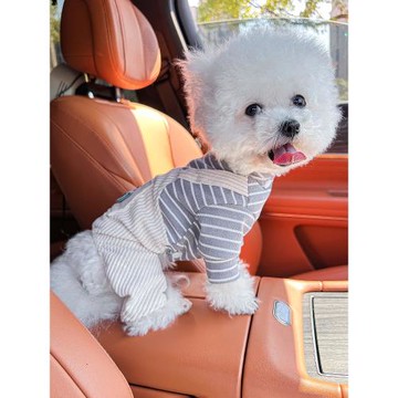 狗狗衣服比熊可愛泰迪博美秋冬防臟小型犬貓咪公狗寵物男寶背帶褲