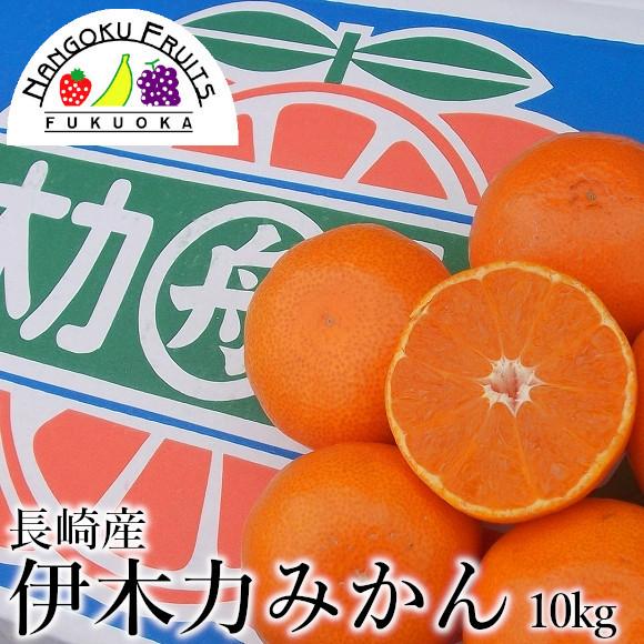 長崎産伊木力みかん 約10kg