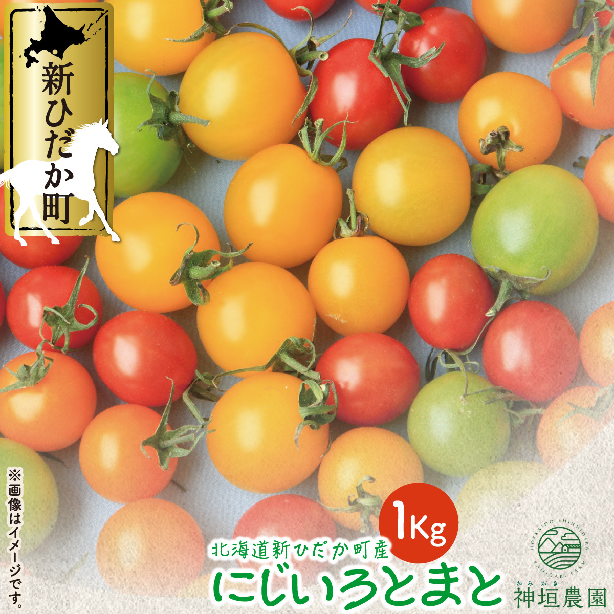 カラフルトマト　＞　予約商品　2024年8月上旬より発送　北海道産　＜　＃にじいろとまと　＞　1kg　ミニトマト　LINEショッピング