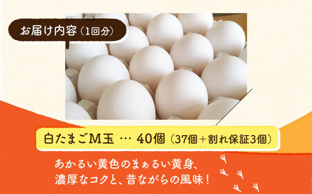 白たまご M玉 40個（37個＋3個割れ保証）タマゴ 玉子 熊本県たまご 卵 国産たまご 新鮮たまご しろたまご M玉たまご 熊本たまご 濃厚たまご [ZCA011]