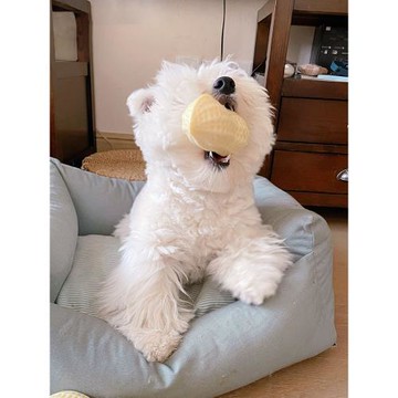 狗狗玩具奶香味大花生磨牙耐咬發聲柯基仿真自嗨解悶神器寵物用品