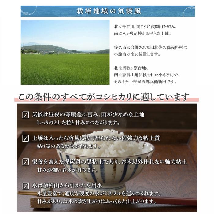 長野県産コシヒカリ浅科五郎兵衛米特Aランク1等米　10キロ