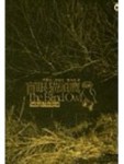 盲眼貓頭鷹[二手書_良好]