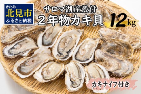 海のミルクサロマ湖産殻付2年物カキ貝 10kg 80～100個入 海鮮 魚介類 貝 お歳暮 お祝い BBQ