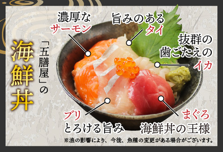 海鮮丼の具5種盛り（マグロ・サーモン・タイ・イカ・ブリ）60g（タレ付）× 5人前