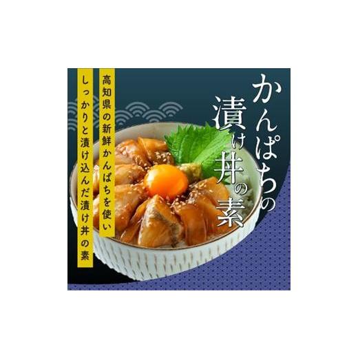 ふるさと納税 高知県 香美市 本場高知の味！お試し「訳ありカツオのたたき×1節とカンパチの漬け丼の素×1P」