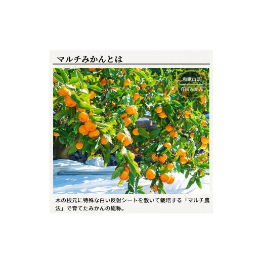 ふるさと納税 和歌山県 広川町 特選有田みかん  5kg サイズ混合 ※11月より順次発送予定 ※着日指定不可