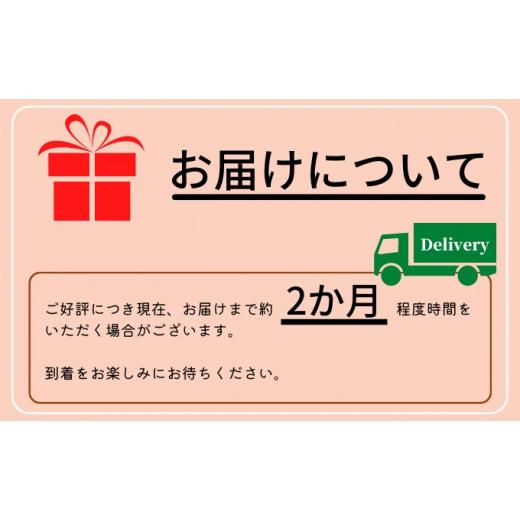 ふるさと納税 秋田県 にかほ市 のどごしの良い きさかたうどん220g×5束（10人前）