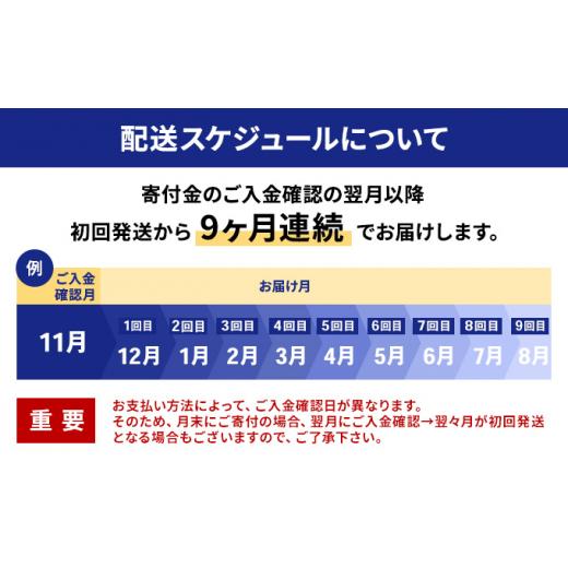 ふるさと納税 北海道 枝幸町 冷凍ほたて貝柱9ヶ月定期便