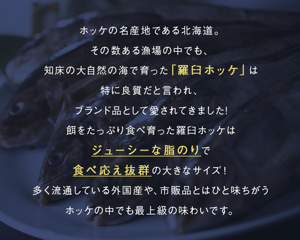 北海道 知床・羅臼産 ホッケ 一夜干し 5枚入 1枚あたり400g〜450g ほっけ ホッケ