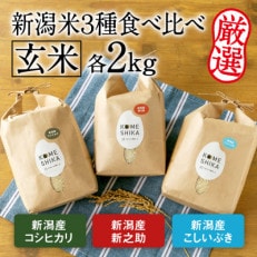 令和5年産新米新潟産コシヒカリ・新潟産新之助・新潟産こしいぶき 玄米 各2kg