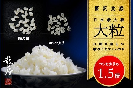 新米10kg×6回 飛騨産・龍の瞳（いのちの壱）株式会社龍の瞳直送 精米 お米