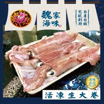 魏家海味 基隆八斗子船撈活凍生大卷12盒組(3-5隻/300g/盒)