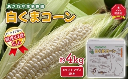 あさひやま動物園しろくまコーン約4kg(ホワイトレディ10本)2024年8月下旬～発送開始予定 