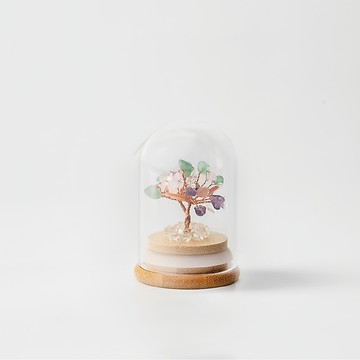 【Montagne】Preserved｜彩晶｜全效。通用  開運禮 母親節禮物