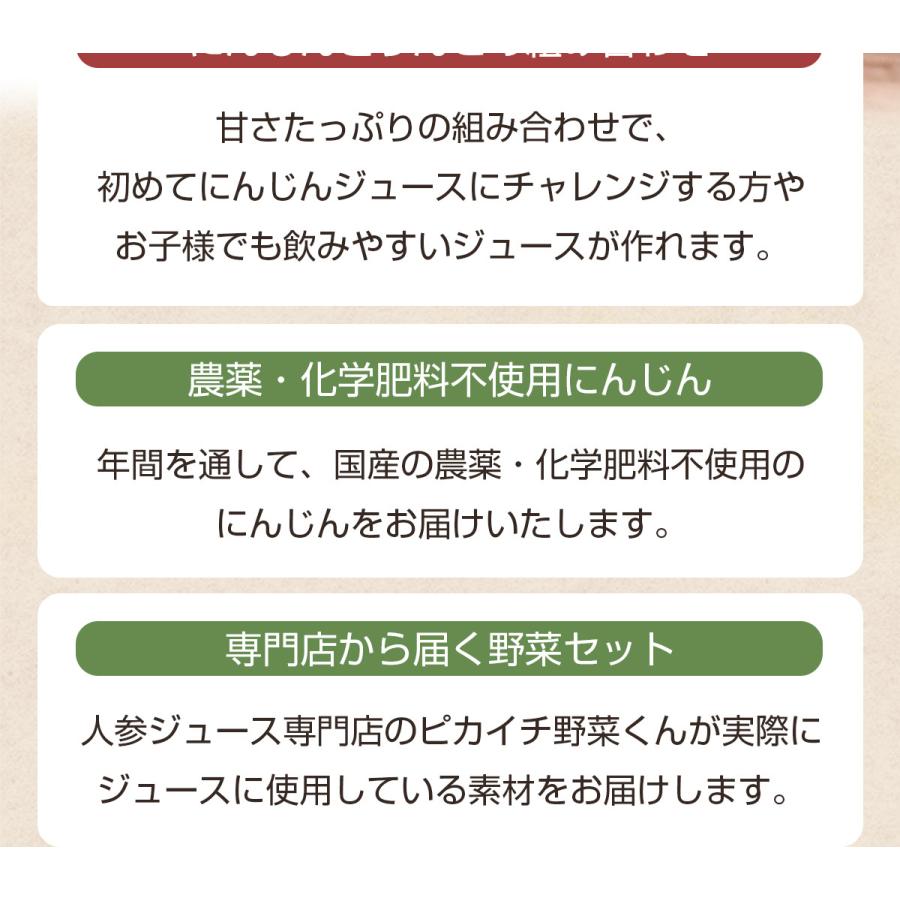 人参 無農薬にんじん 野菜セット 無農薬野菜 にんじんジュース ジュース用  にんじん5kg＋りんご5kg ゲルソン療法にも最適 訳あり