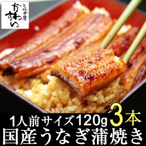 国産 うなぎ蒲焼き 120g×3本  タレ付き 送料無料 山椒別売り 国産うなぎ 蒲焼き 国産 うなぎ お取り寄せ グルメ 贅沢 おうちで うな丼