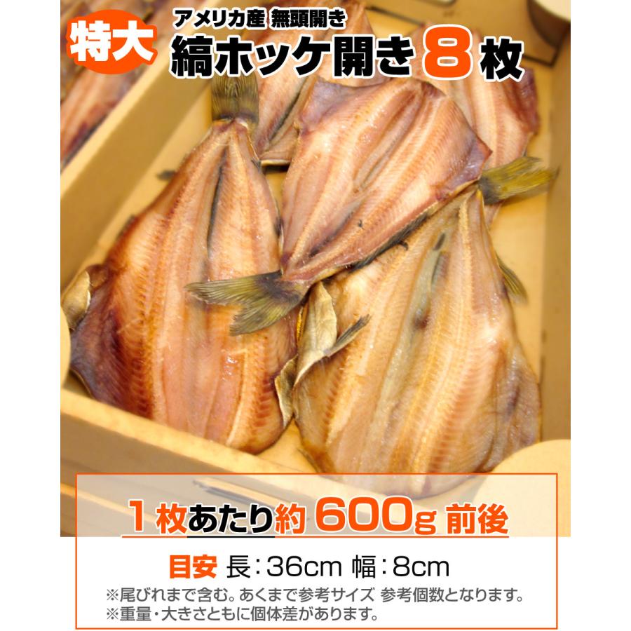 しまホッケ 8枚セット 1尾600ｇ前後 送料0円 縞ホッケ開き 特大 開き魚 しまホッケ開き ホッケ 干物 簡単おかず 乾物 お正月 お歳暮