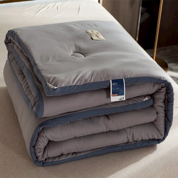 冬季被子加厚保暖冬被芯單人學生宿舍被褥雙人空調春秋棉被太空被